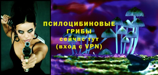 2c-b Аркадак